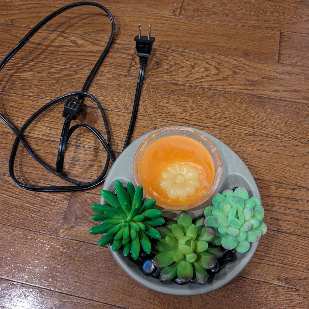 Wax warmer melting plant